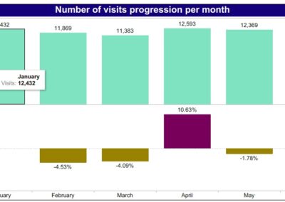 Alana Analytics bar chart of visit progression per month