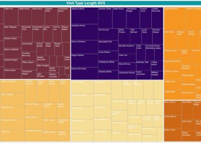 Alana Analytics treemap of average visit length by type