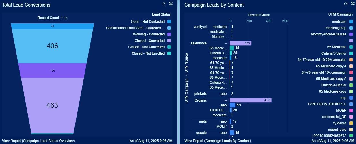 Salesforce dashboard of total lead conversions and campaign leads by contact