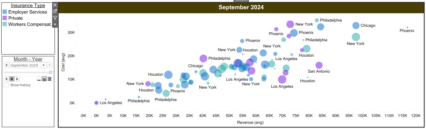 September 2024 bubble chart of providers by revenue and insurance type